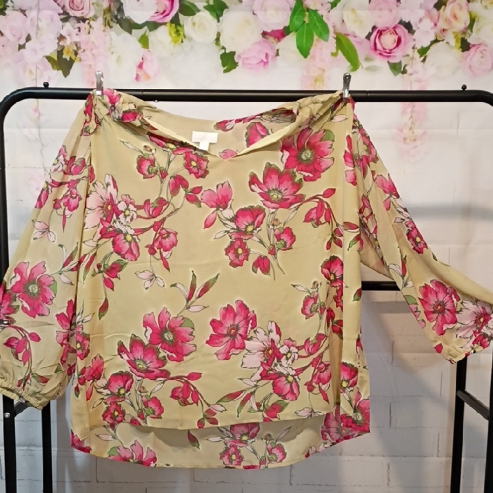 Belle by Kim Gravel Pink and Cream Asymmetrical Crop Blouse